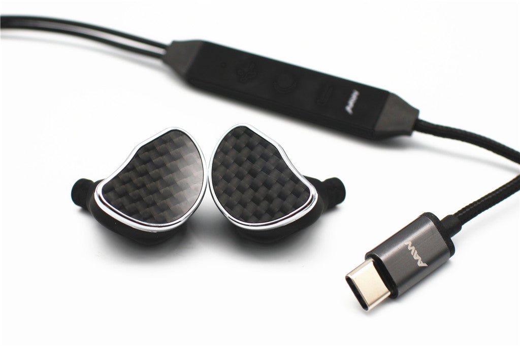 Hibiki Digital In-Ear Monitor with Capri Hi-Res Digital Cable - Null Audio